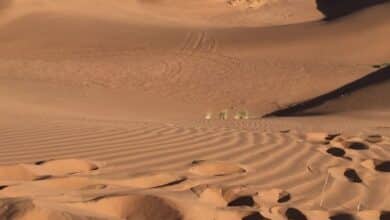 Circuit désert du Sahara Maroc dunes
